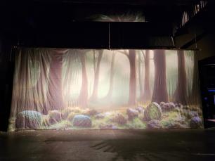 Printed cloth of Forest trees in dappled sunlight 