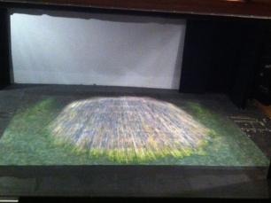 Painted floorcloth with rustic floorboards within green surrounds