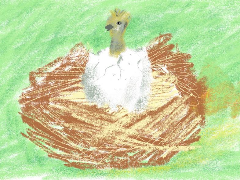 An illustration of a duckling hatching from an egg in a nest.