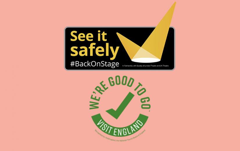 See it Safely and Good to Go Logo