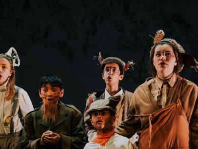 Image of a group of young children performing in costume on stage