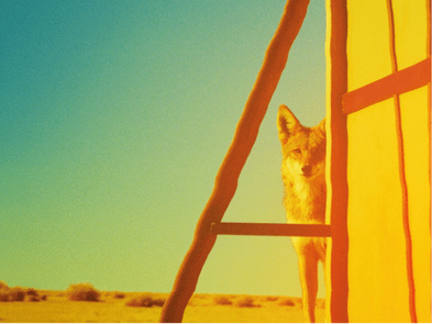 A colourful picture of an animal